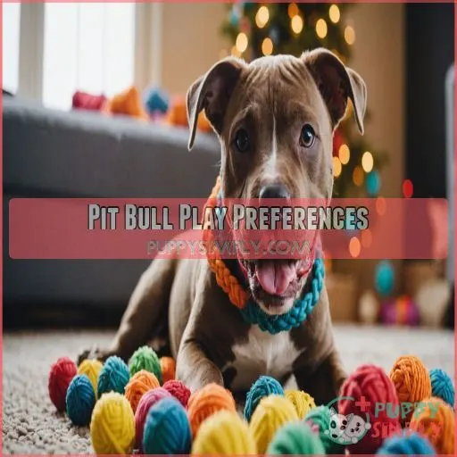 Pit Bull Play Preferences