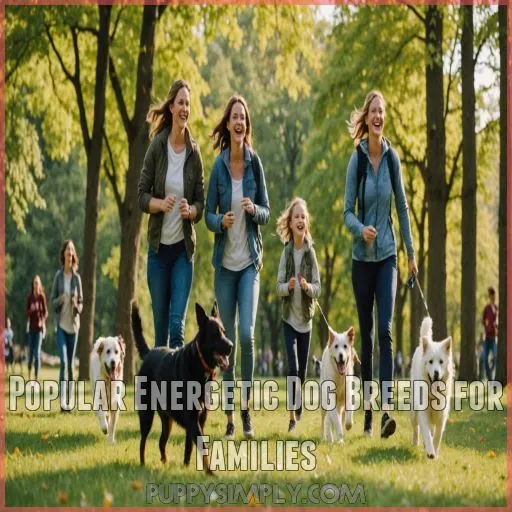 Popular Energetic Dog Breeds for Families