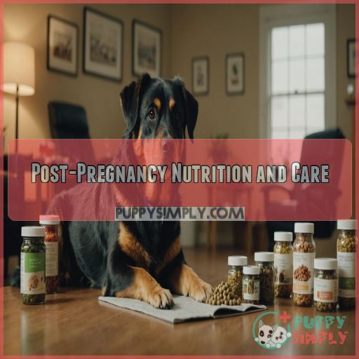 Post-Pregnancy Nutrition and Care