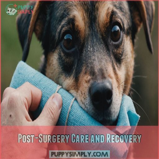 Post-Surgery Care and Recovery