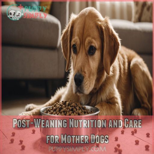 Post-Weaning Nutrition and Care for Mother Dogs