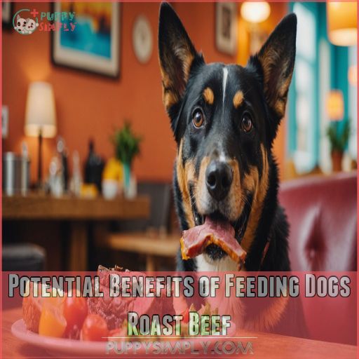 Potential Benefits of Feeding Dogs Roast Beef