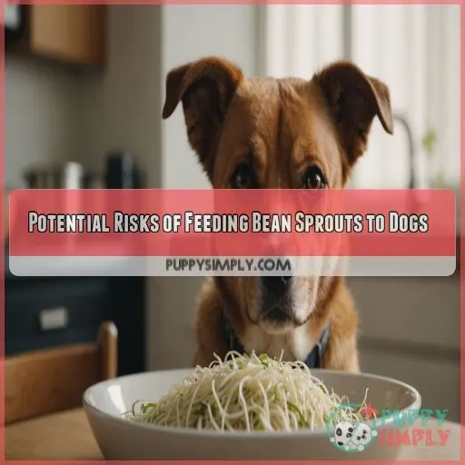 Potential Risks of Feeding Bean Sprouts to Dogs