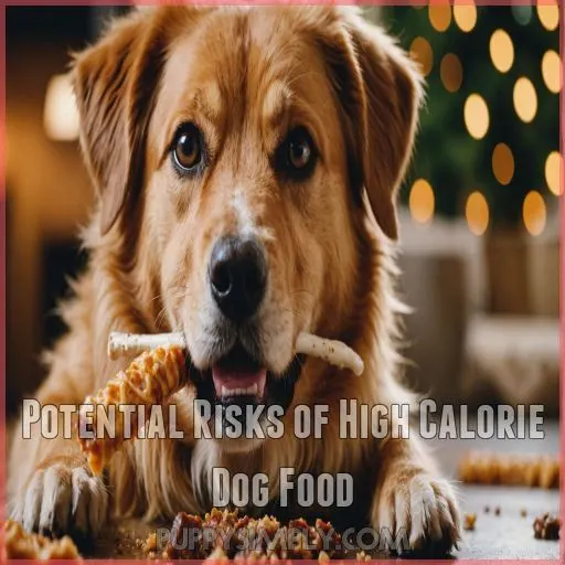 Potential Risks of High Calorie Dog Food