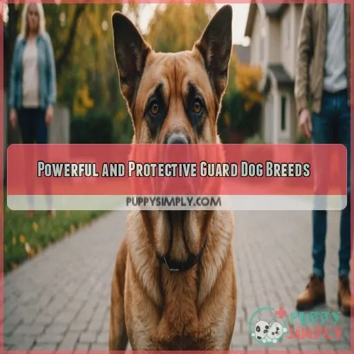 Powerful and Protective Guard Dog Breeds