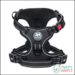 PoyPet No Pull Dog Harness,