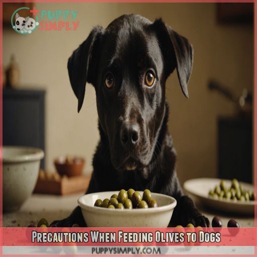 Precautions When Feeding Olives to Dogs