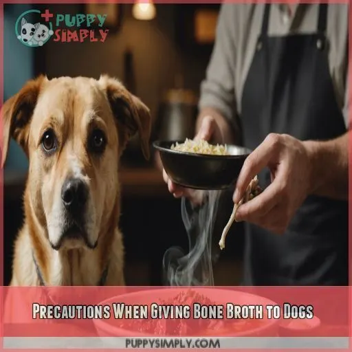 Precautions When Giving Bone Broth to Dogs