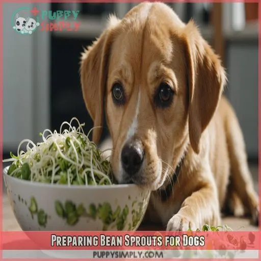 Preparing Bean Sprouts for Dogs