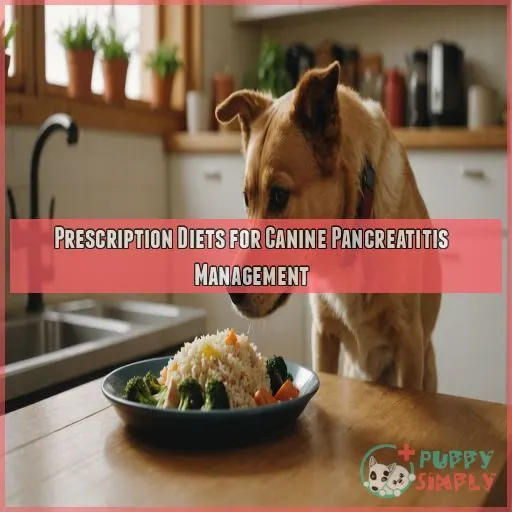 Prescription Diets for Canine Pancreatitis Management