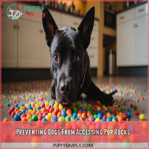 Preventing Dogs From Accessing Pop Rocks