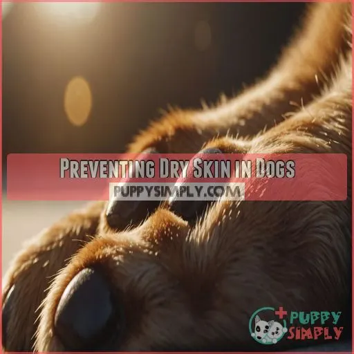 Preventing Dry Skin in Dogs