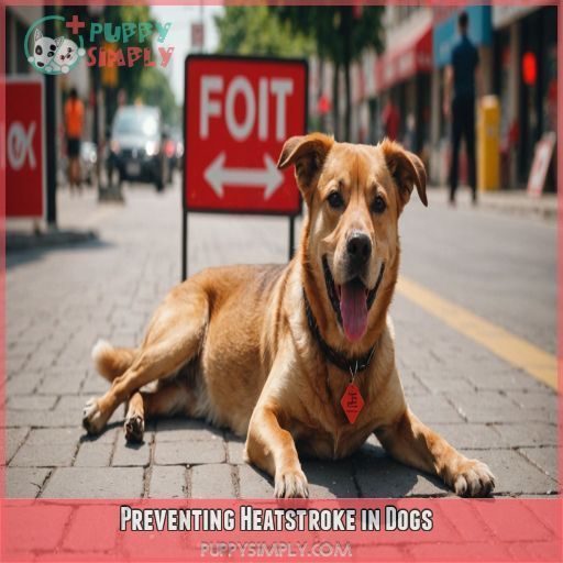 Preventing Heatstroke in Dogs