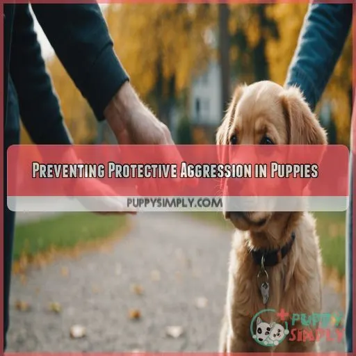 Preventing Protective Aggression in Puppies