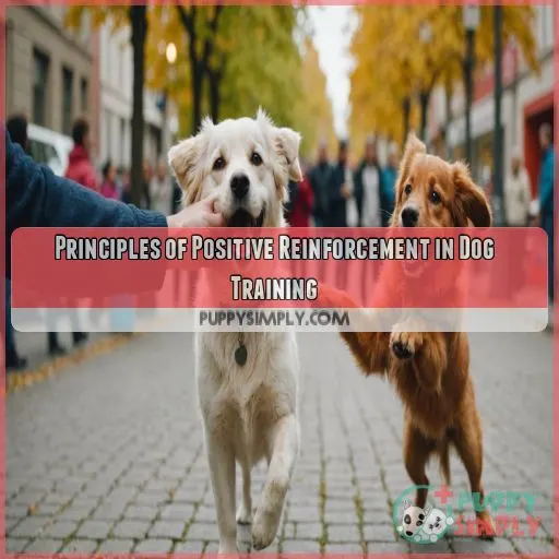 Principles of Positive Reinforcement in Dog Training