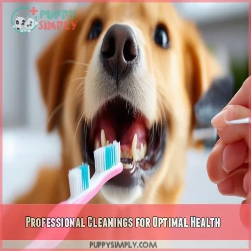 Professional Cleanings for Optimal Health