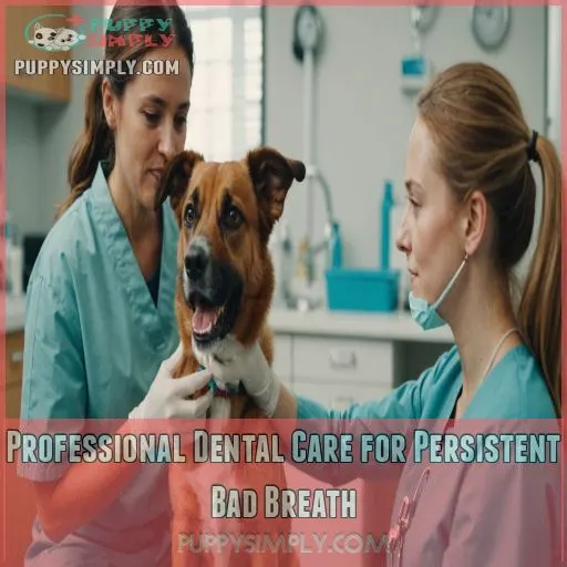 Professional Dental Care for Persistent Bad Breath