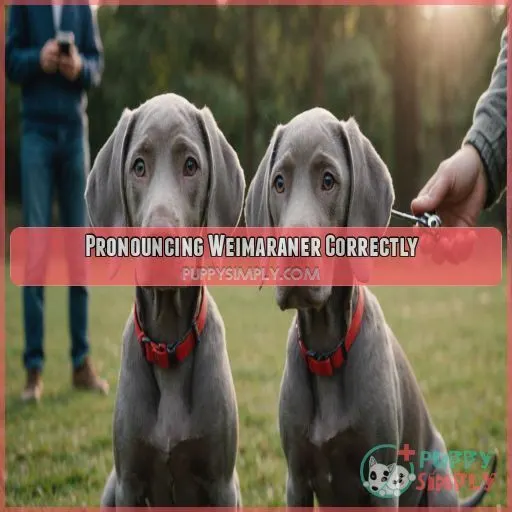 Pronouncing Weimaraner Correctly