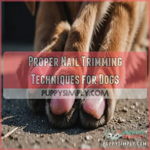 Proper Nail Trimming Techniques for Dogs