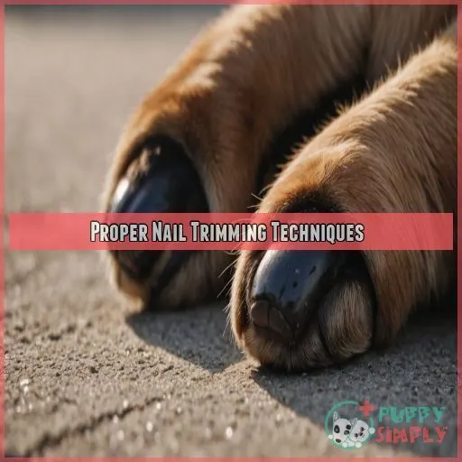 Proper Nail Trimming Techniques