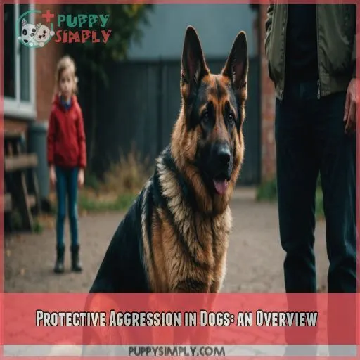 Protective Aggression in Dogs: an Overview