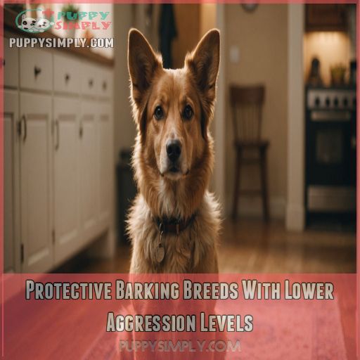 Protective Barking Breeds With Lower Aggression Levels