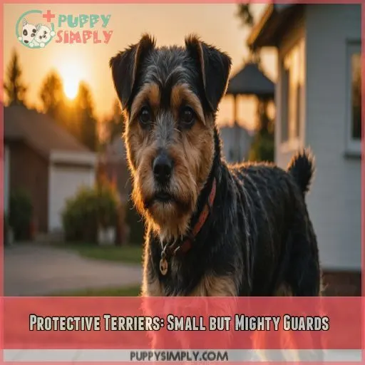 Protective Terriers: Small but Mighty Guards