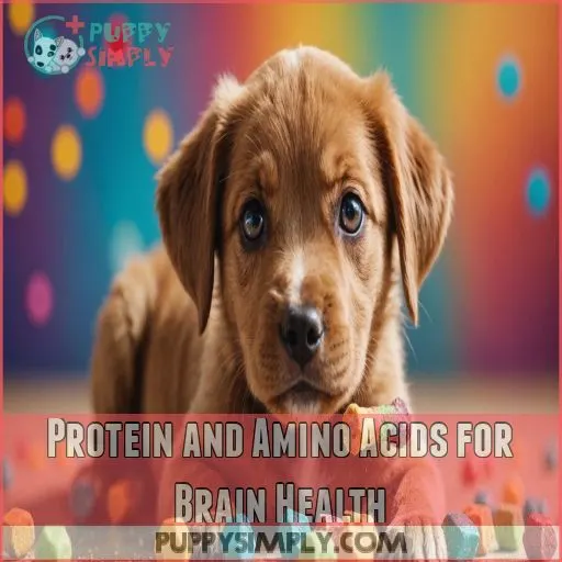 Protein and Amino Acids for Brain Health