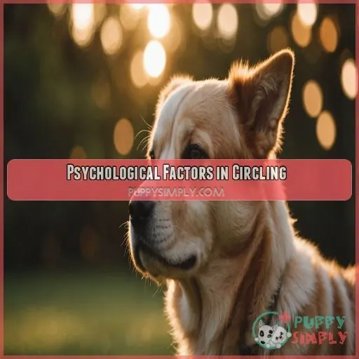 Psychological Factors in Circling