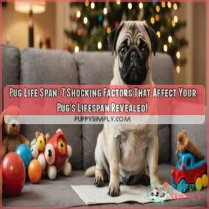 pug life span