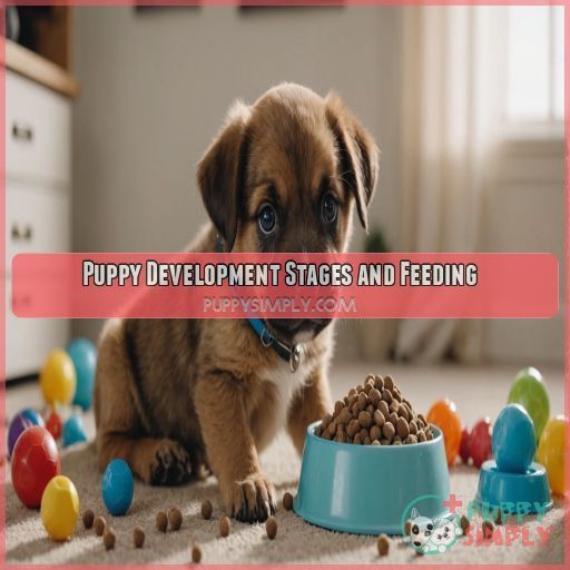 Puppy Development Stages and Feeding