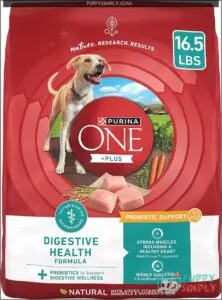 Purina One Plus Digestive Health