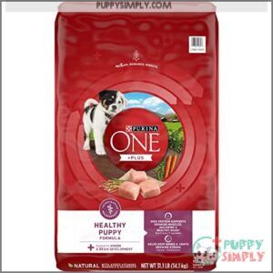 Purina ONE Plus Healthy Puppy B09NWC4HBY