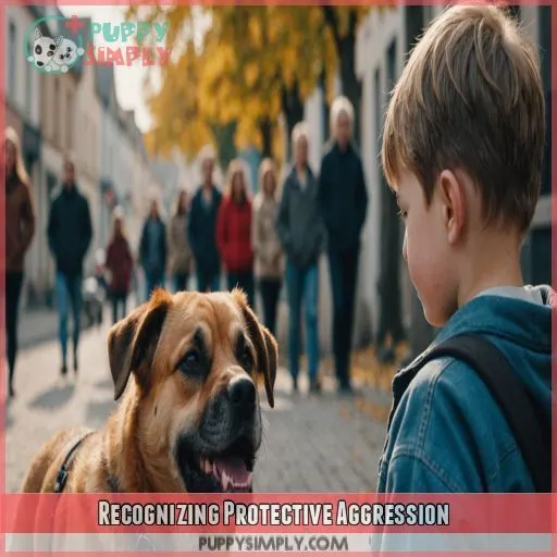 Recognizing Protective Aggression