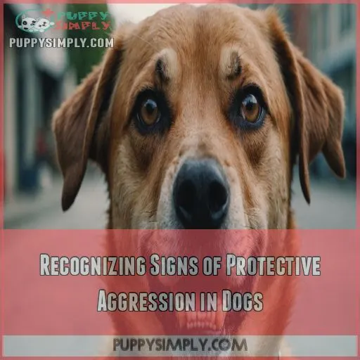 Recognizing Signs of Protective Aggression in Dogs