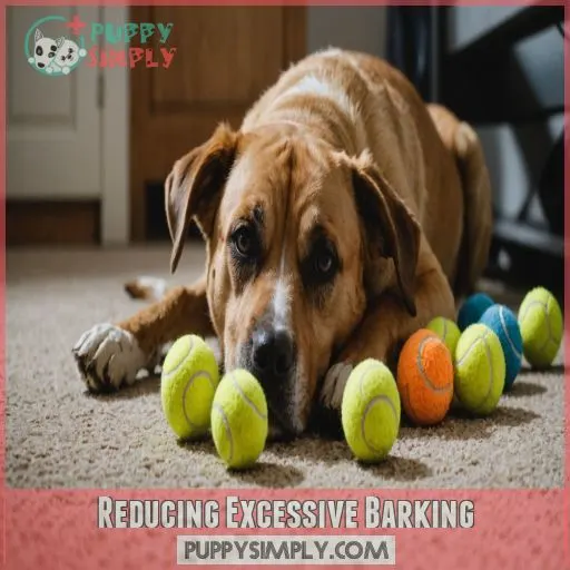 Reducing Excessive Barking