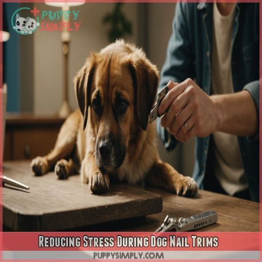 Reducing Stress During Dog Nail Trims