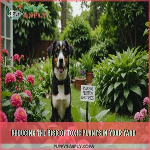 Reducing the Risk of Toxic Plants in Your Yard