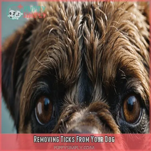 Removing Ticks From Your Dog