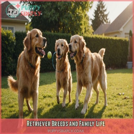 Retriever Breeds and Family Life