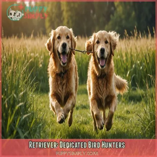 Retriever: Dedicated Bird Hunters