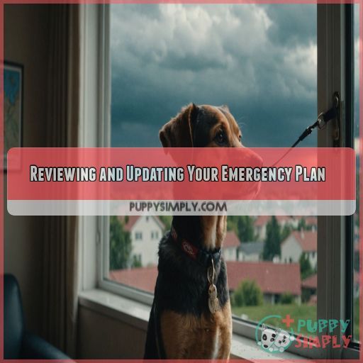 Reviewing and Updating Your Emergency Plan