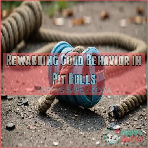 Rewarding Good Behavior in Pit Bulls