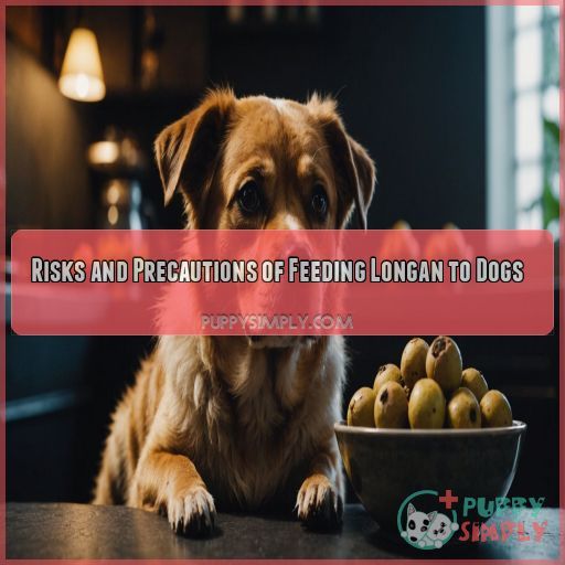 Risks and Precautions of Feeding Longan to Dogs