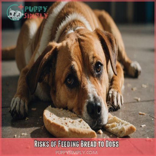 Risks of Feeding Bread to Dogs Risks of Feeding Bread to Dogs