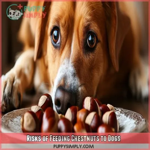 Risks of Feeding Chestnuts to Dogs