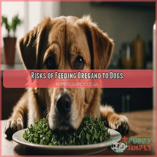 Risks of Feeding Oregano to Dogs