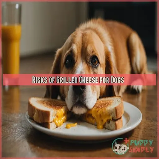 Risks of Grilled Cheese for Dogs