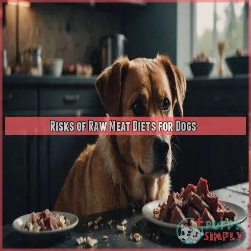 Risks of Raw Meat Diets for Dogs