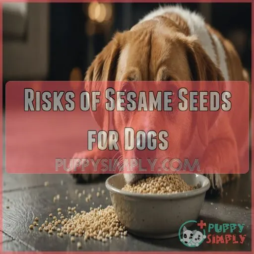 Risks of Sesame Seeds for Dogs